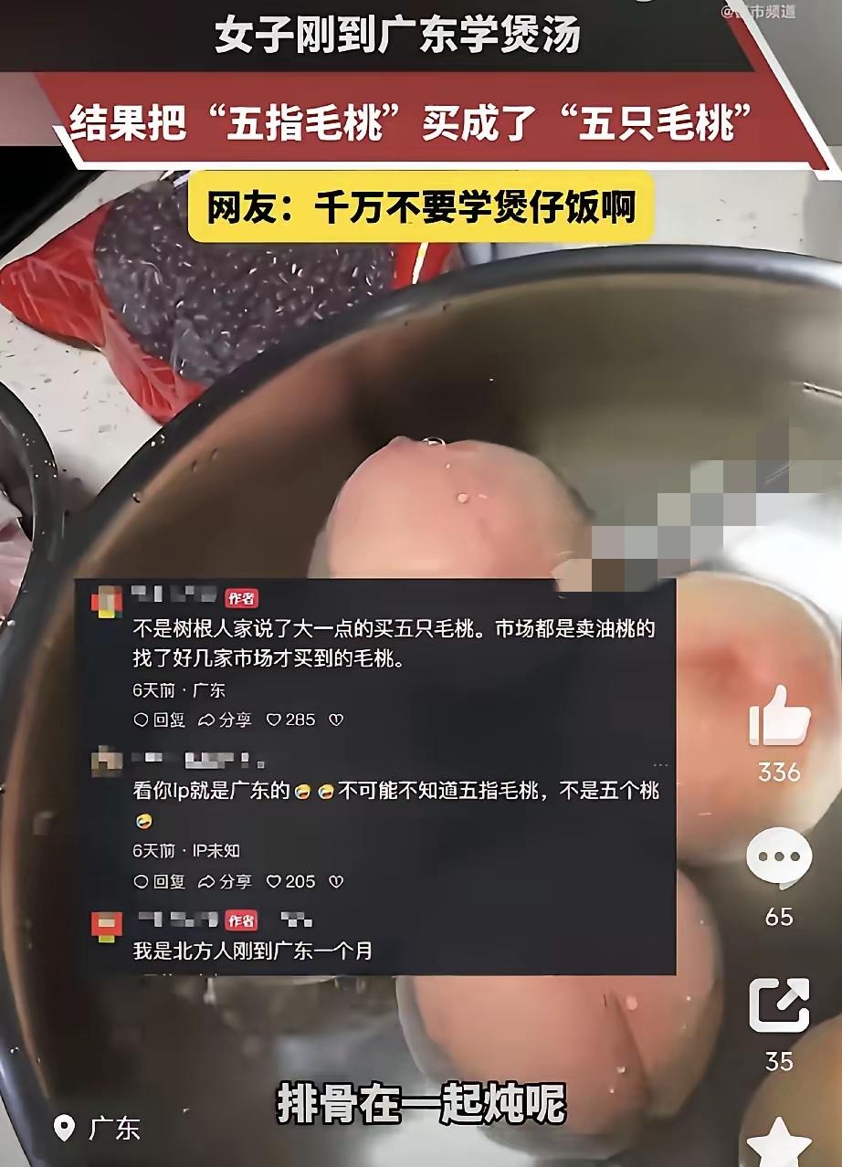笑不活了！北方姑娘初学广东煲汤，听岔闹超大乌龙
刚来广东生活，听不懂本地食材叫法