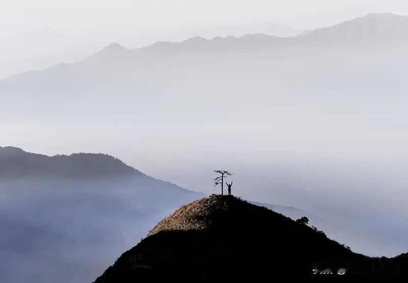 真正的坚强，不是面对悲伤不流一滴泪，而是擦干眼泪后，微笑着面对以后的生活。