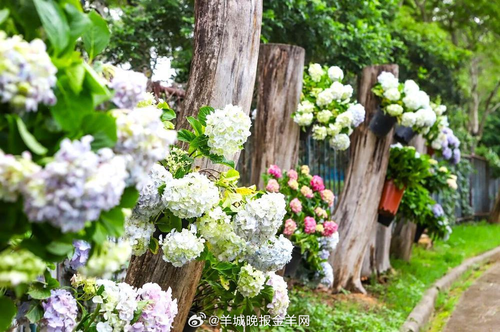 #早安#学会放下，学会翻篇，倒空杯子，才能装下新的人生故事。 