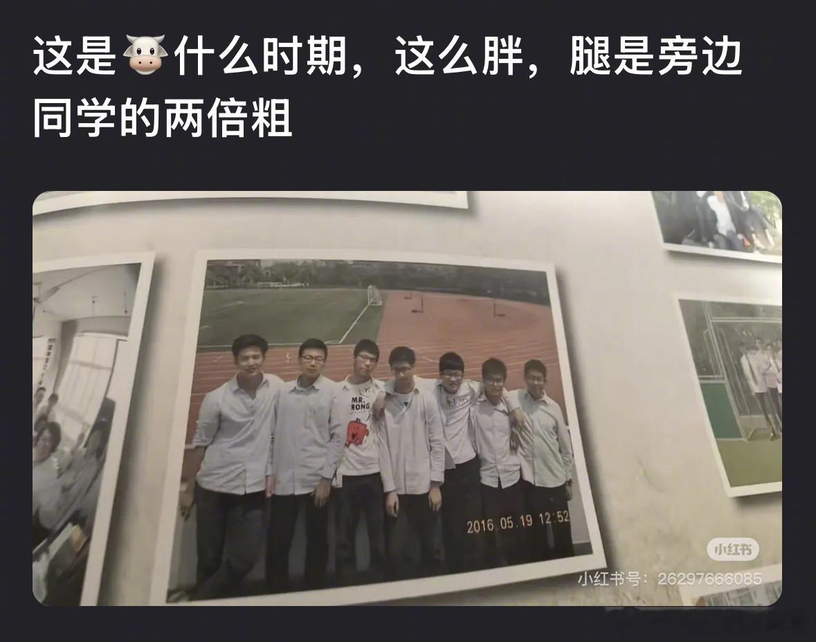 张凌赫学生时期同学合照，算胖吗？