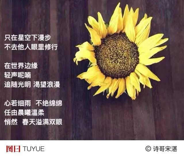 说个春天话题 
一朵云 落在肩头
一缕风 拂过面颊
．
阳光透过云层
伸展双臂 