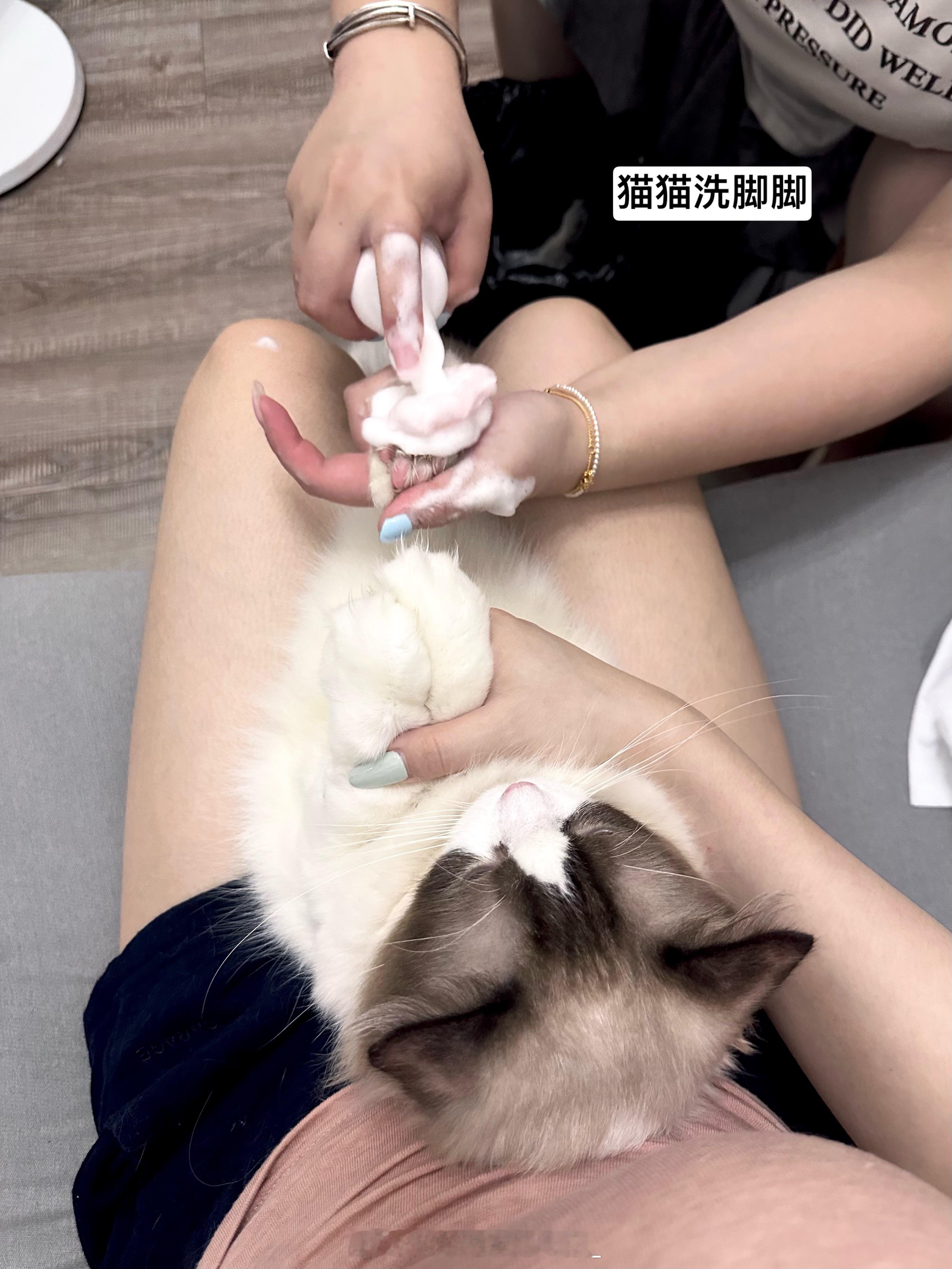 最近一天天的真的是一天天的一天天的 