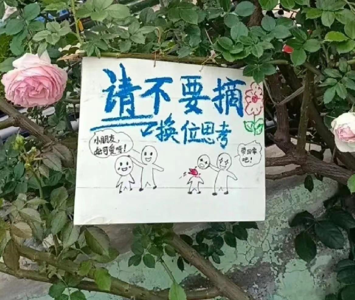 这是我见过杀伤力最大的警示牌了 ​​​
