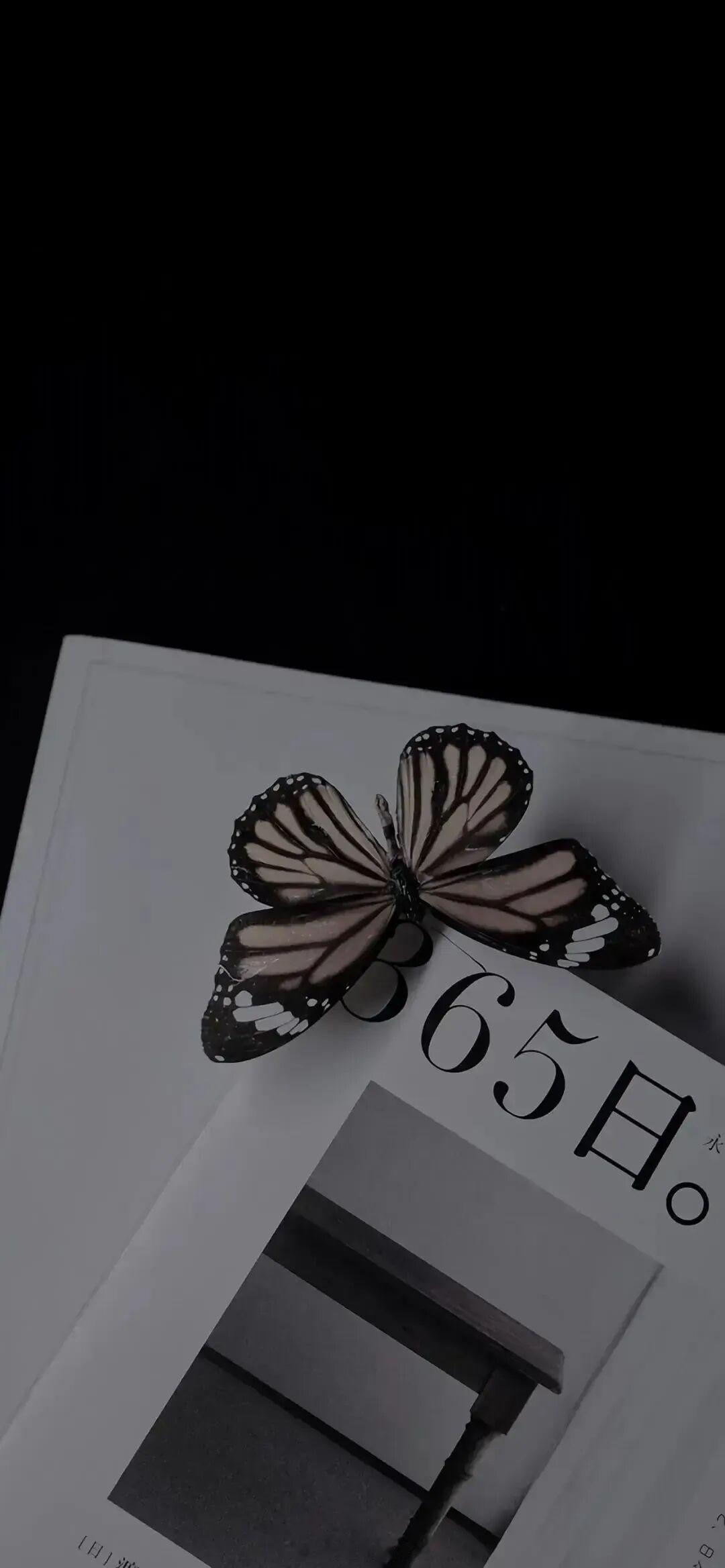 蝴蝶坠入我的眉眼，你是亘古长悬的月。——闻月清晚安