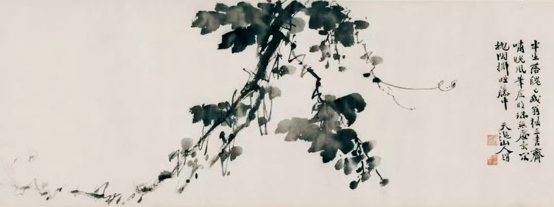 明·徐渭画葡萄，随意涂抹、酣畅淋漓！徐渭以寥寥几笔倾倒墨汁，随意涂抹点染，老藤错