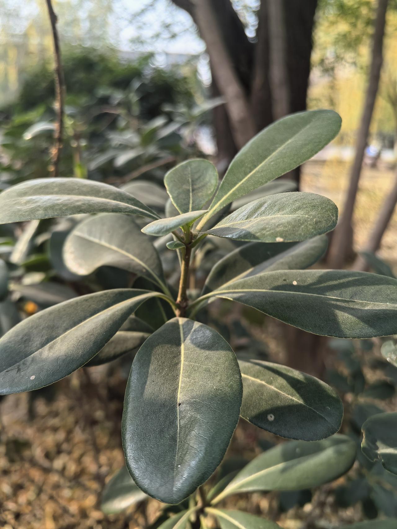 人到了一定年龄，让你吃不舍得吃，穿不舍得穿，一分钱掰成两半花，因为上有老下有小，