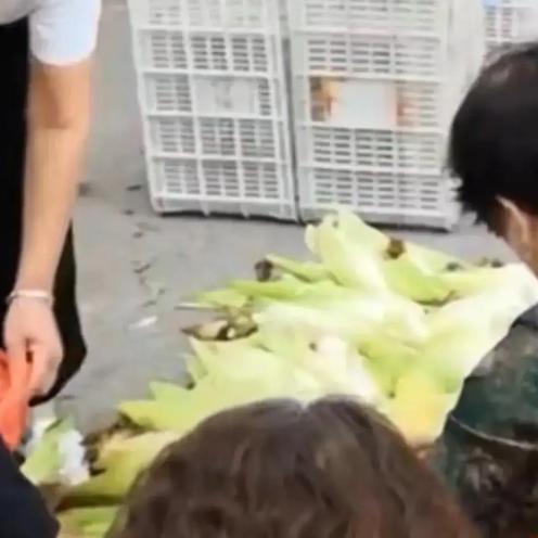 浙江嘉兴，老太太在小区卖玉米，不慎跌倒。围观人群却不敢救，危急之时，一名保安把她
