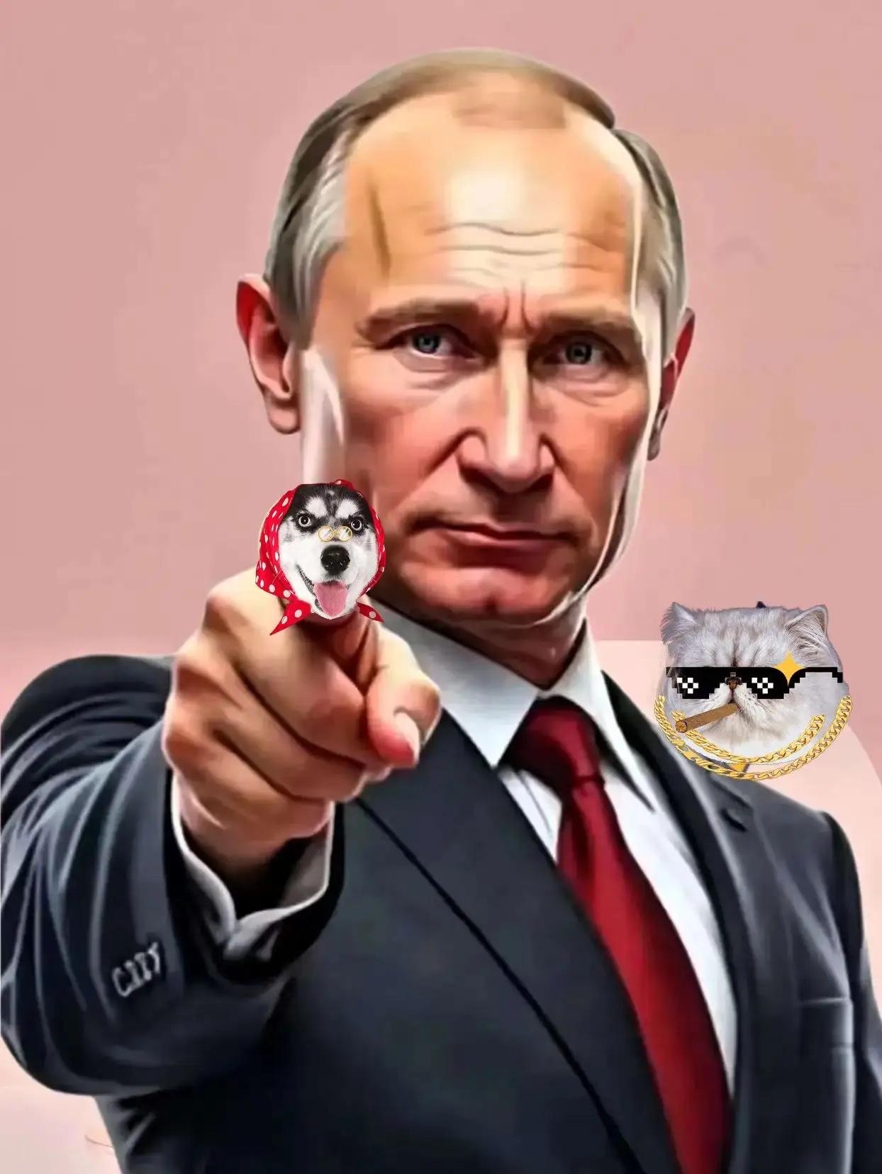 果然被猜中了！
俄罗斯官方今天宣布了！
10月31日俄罗斯总统普京宣布！
俄罗斯