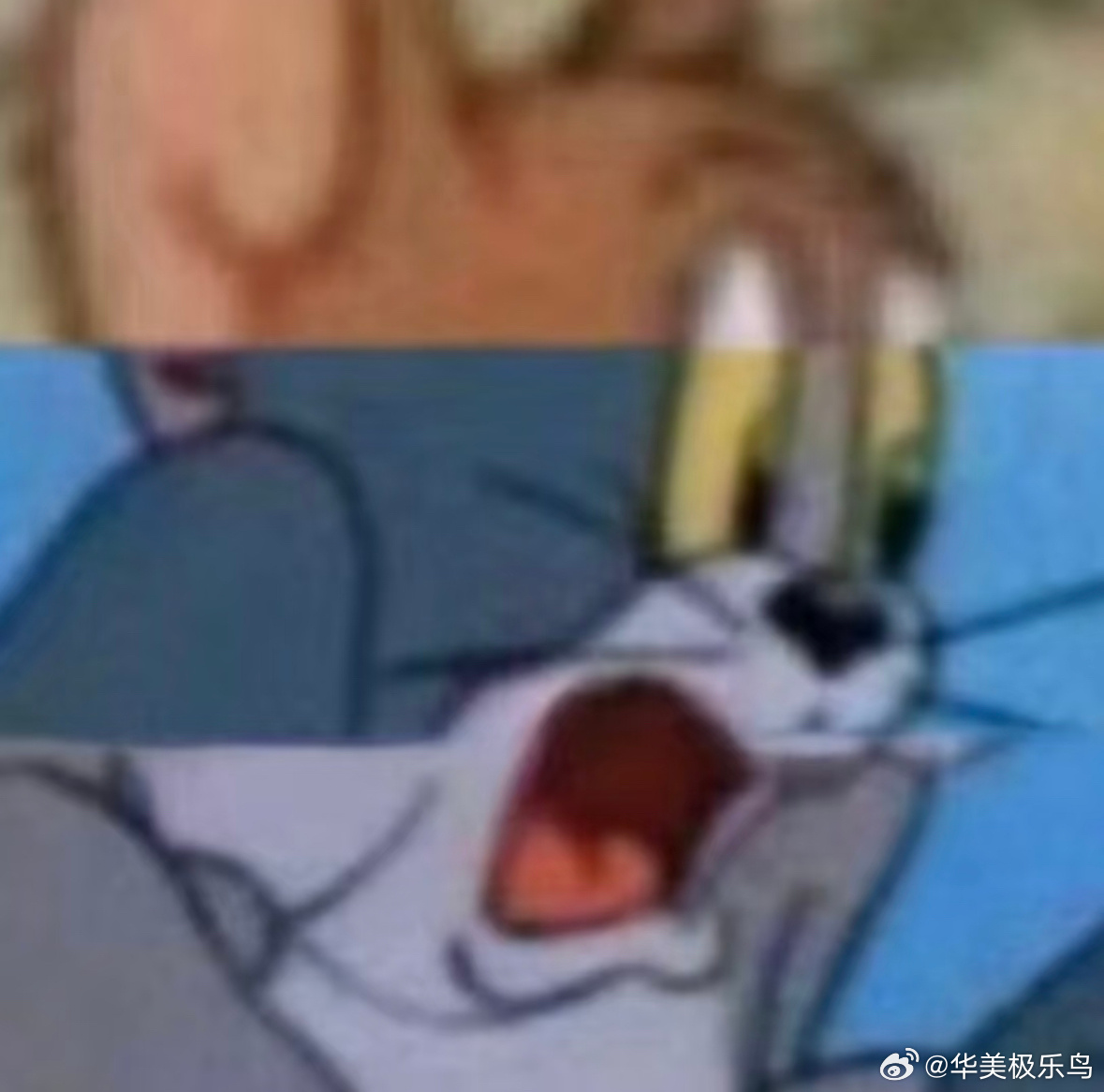 疯言鸟语 今天路过加油站全是排起百米长队的 听说24号0点起加满一箱油得贵将近一