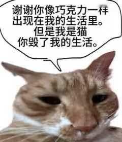 工作就像巧克力
找不到工作，悲伤
找到工作，悲伤
工作，悲伤
真的有人喜欢自己的