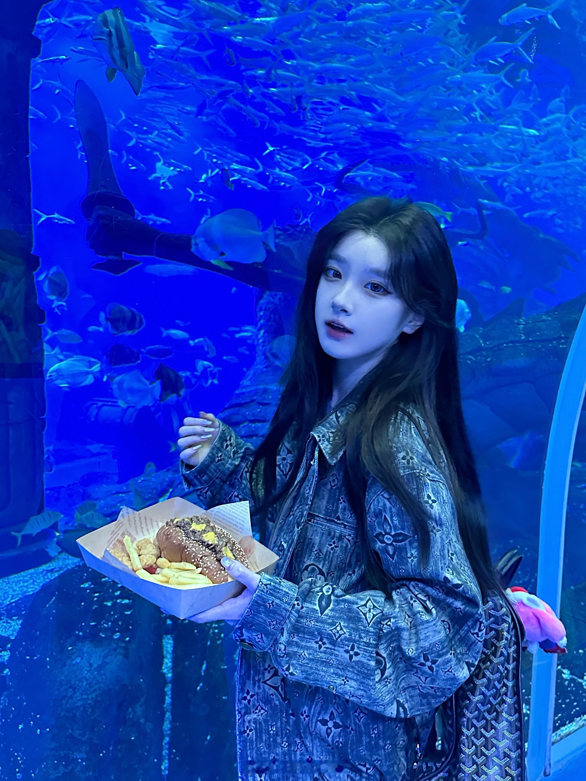 海洋馆是不用调滤镜的美⋆｡°₊♥₊°｡⋆ 