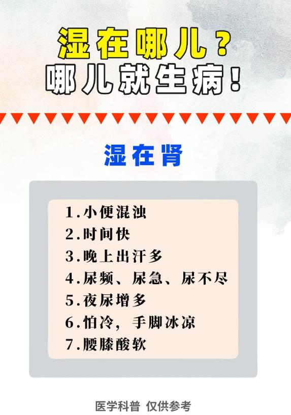 湿气藏在哪里，哪里就容易出健康问题