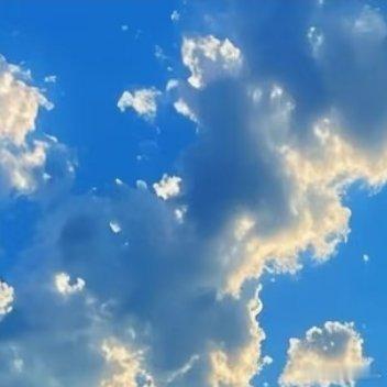 阳光信用阳光信用 🍀早起奔赴一场温柔晨光，看天色渐亮，听微风轻扬，感受生活最纯