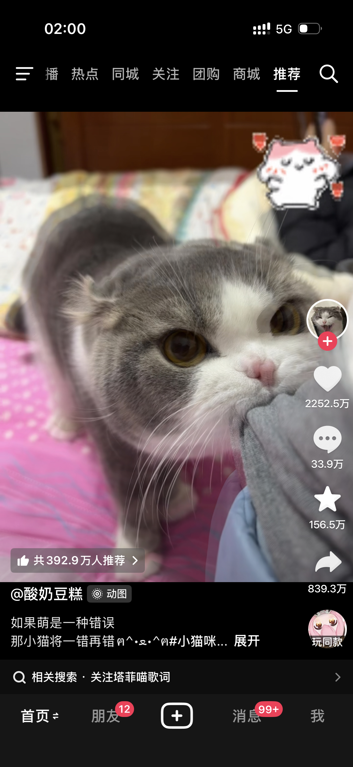喵咪才是🫘世1吧 