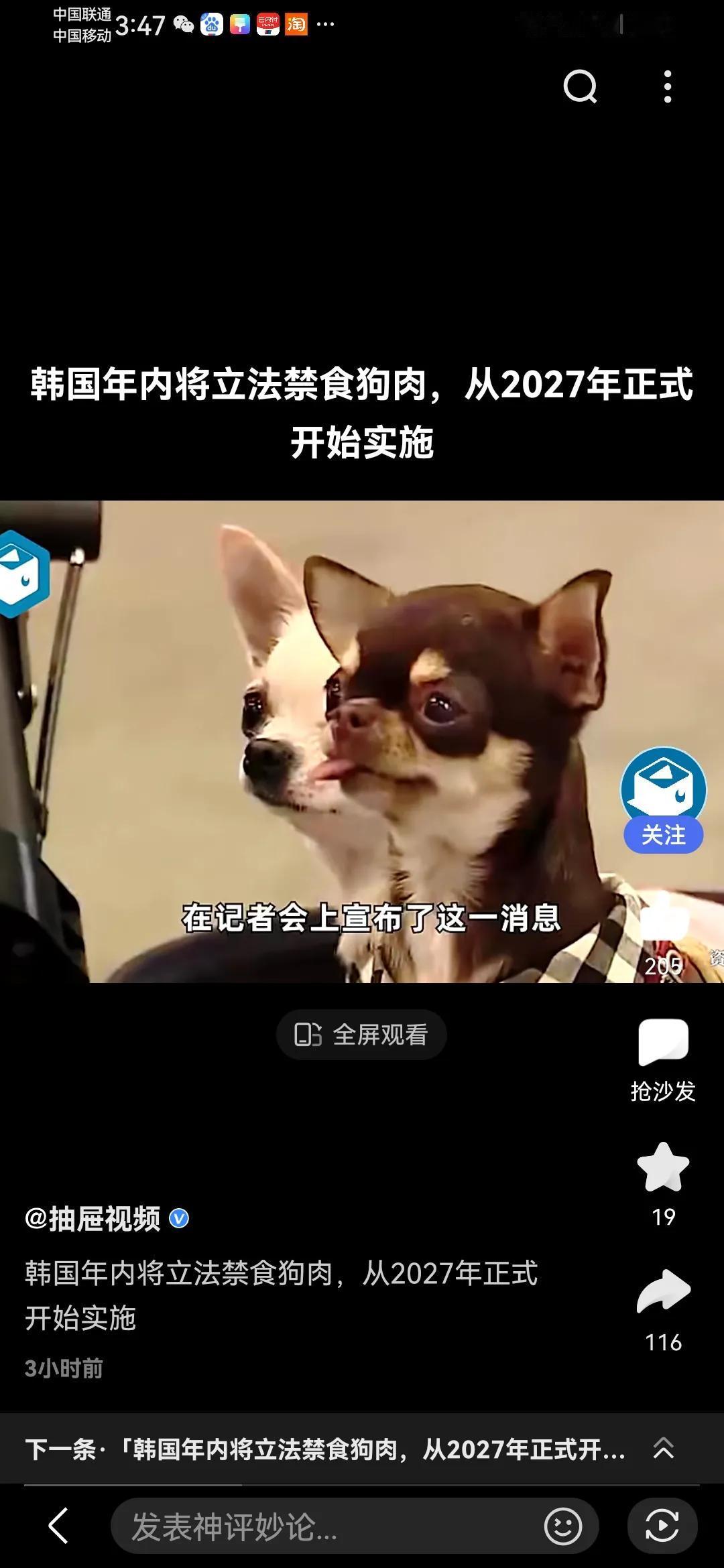 文明！韩国从2027年开始禁食狗肉！
近日，韩国政府决定在年内推动禁食狗肉的特别