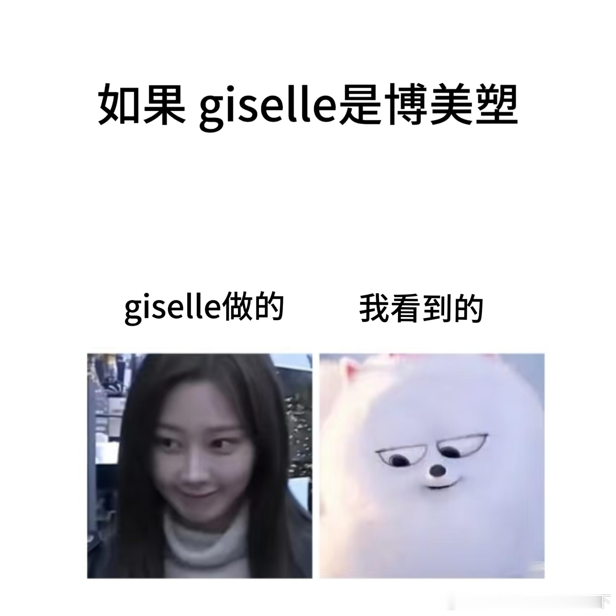 Giselle[超话]  博美塑简直太伟大了简直就是giselle本体宝宝就是一