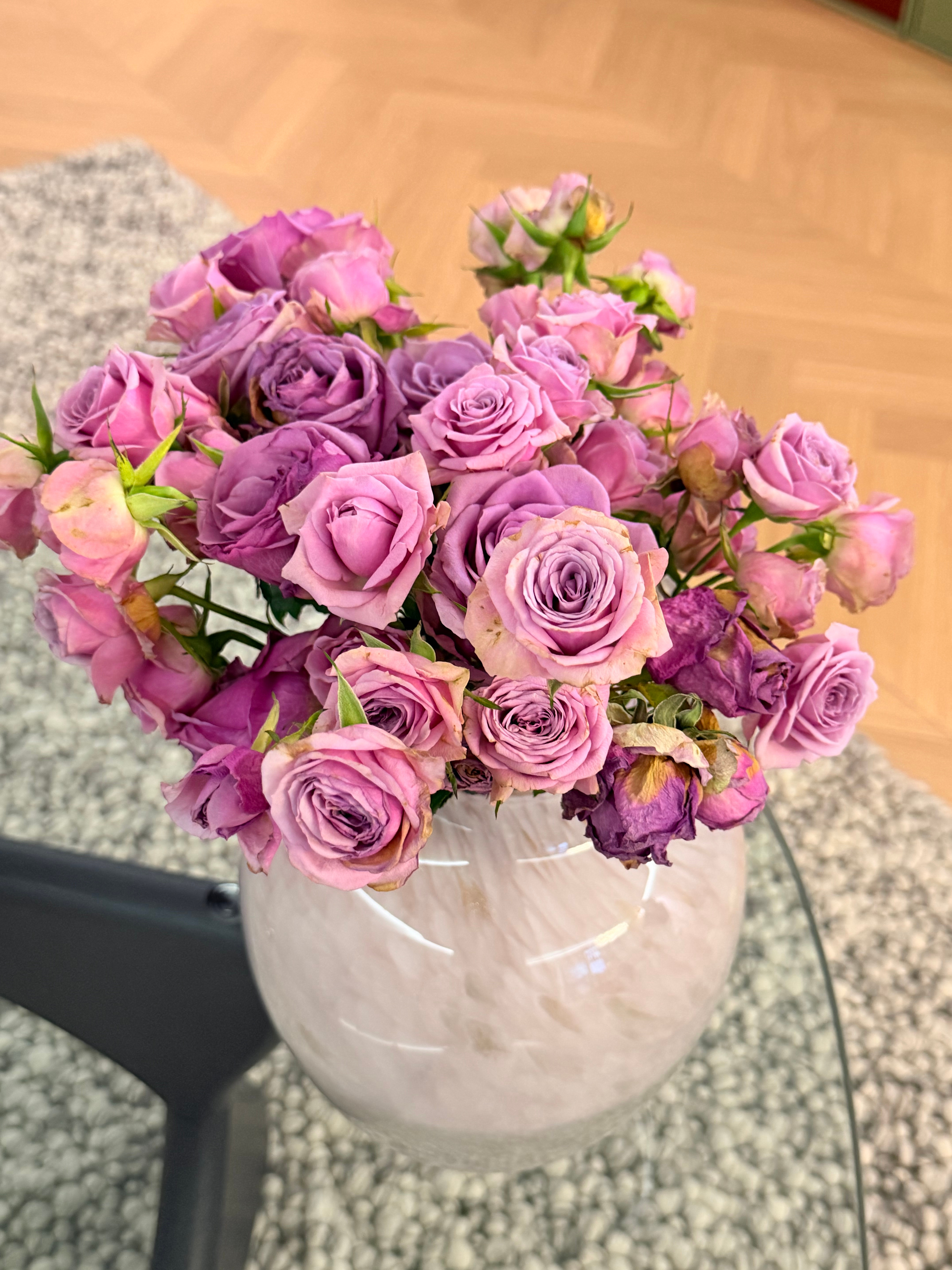 那些生活碎片🧩 