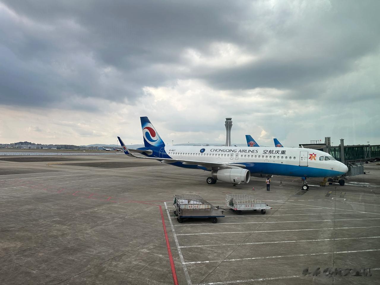 感谢TCL和神舟的活动，让我有机会带胖胖出去见见世面，在深圳愉快的玩了小半个月，