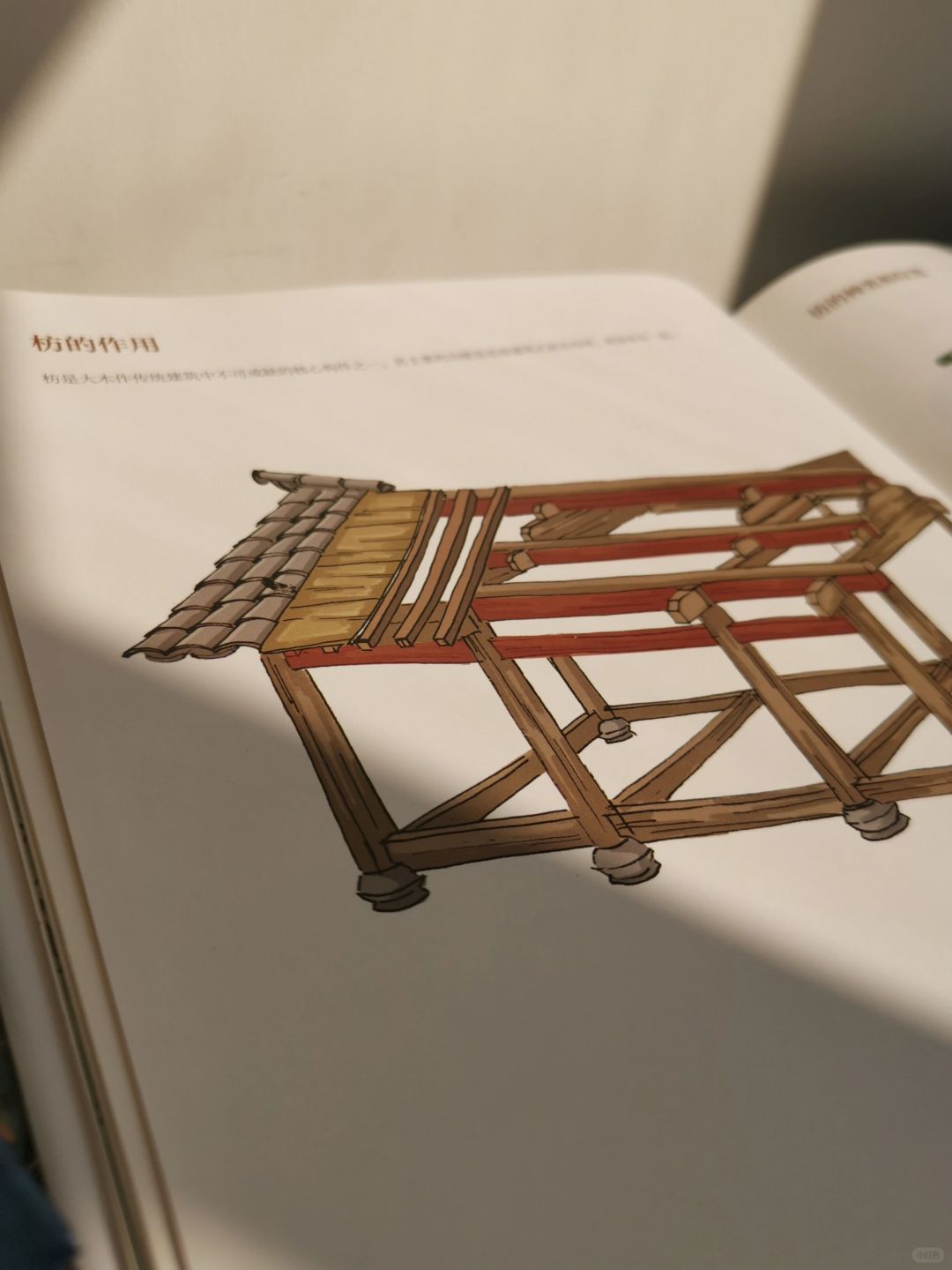 每天学点古建知识•枋