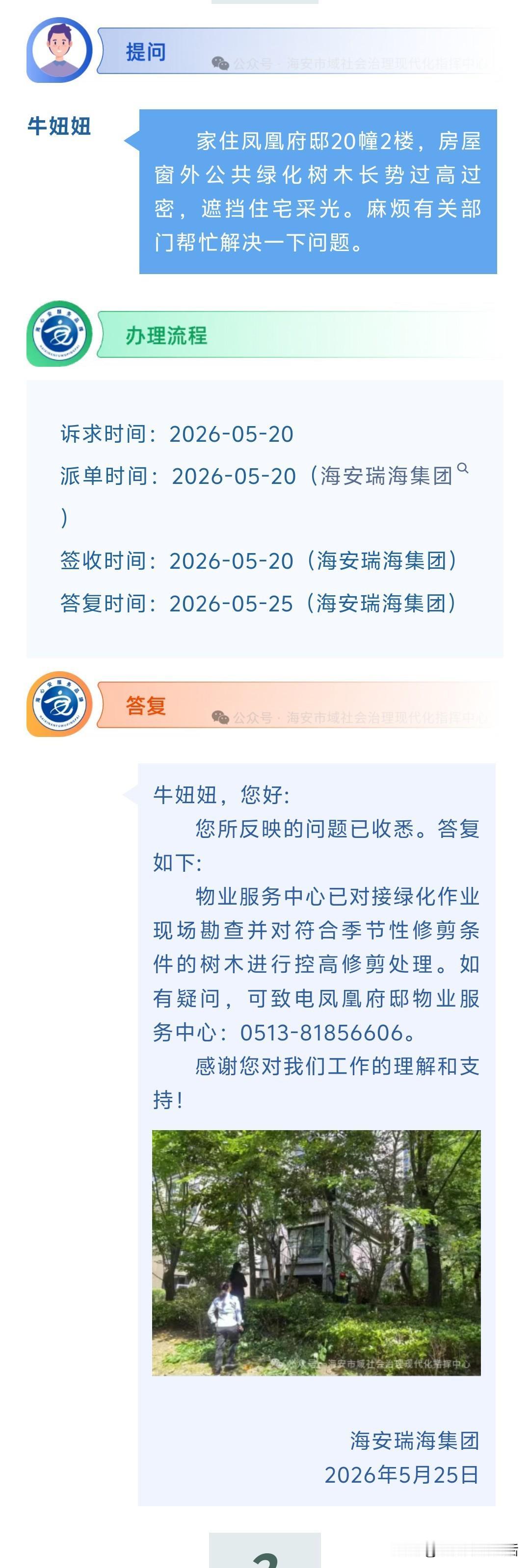 海安网友反映:  家住凤凰府邸20幢2楼，房屋窗外公共绿化树木长势过高过密，遮挡