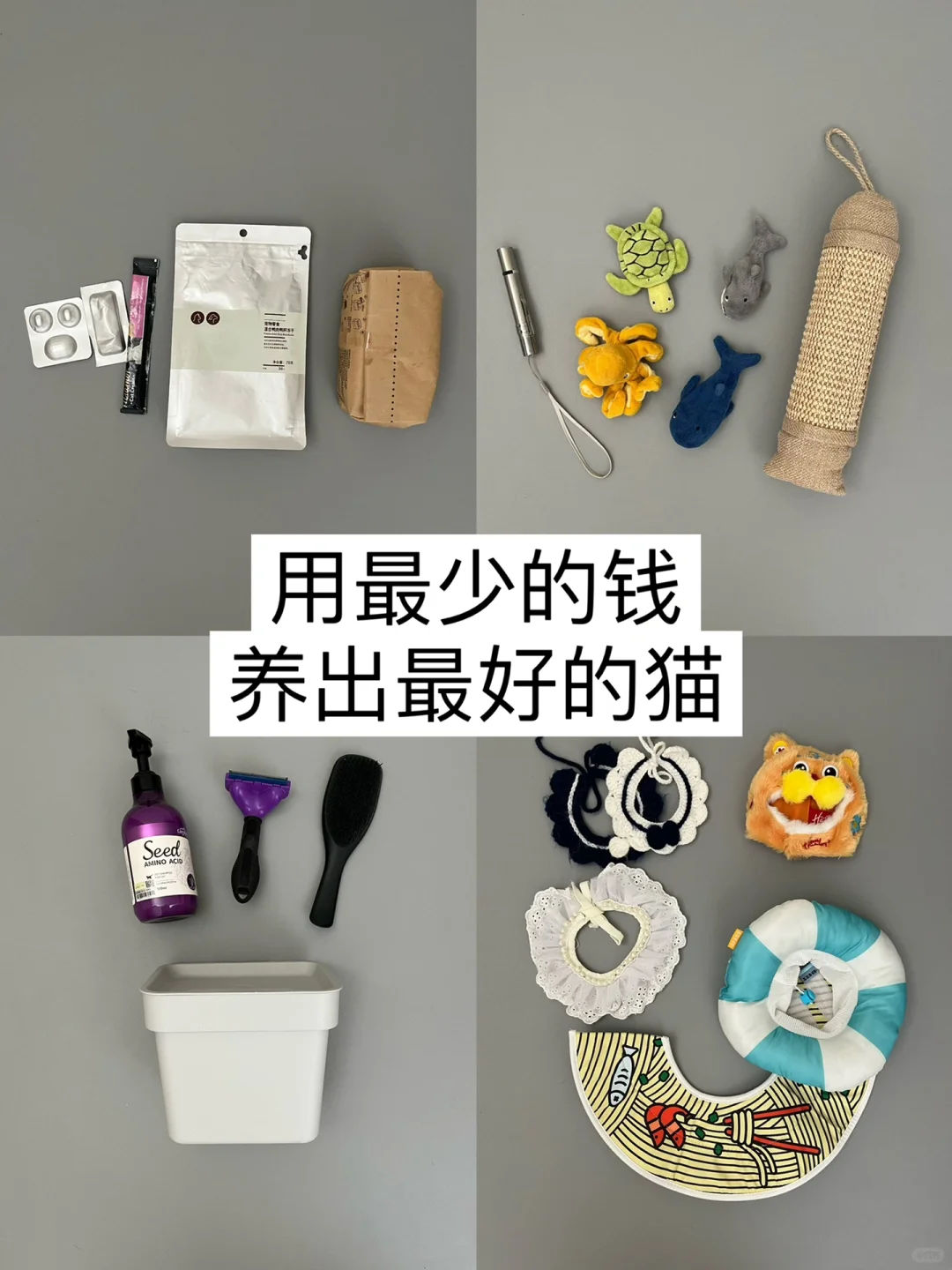 极简养宠｜养猫或许没有那么麻烦2
