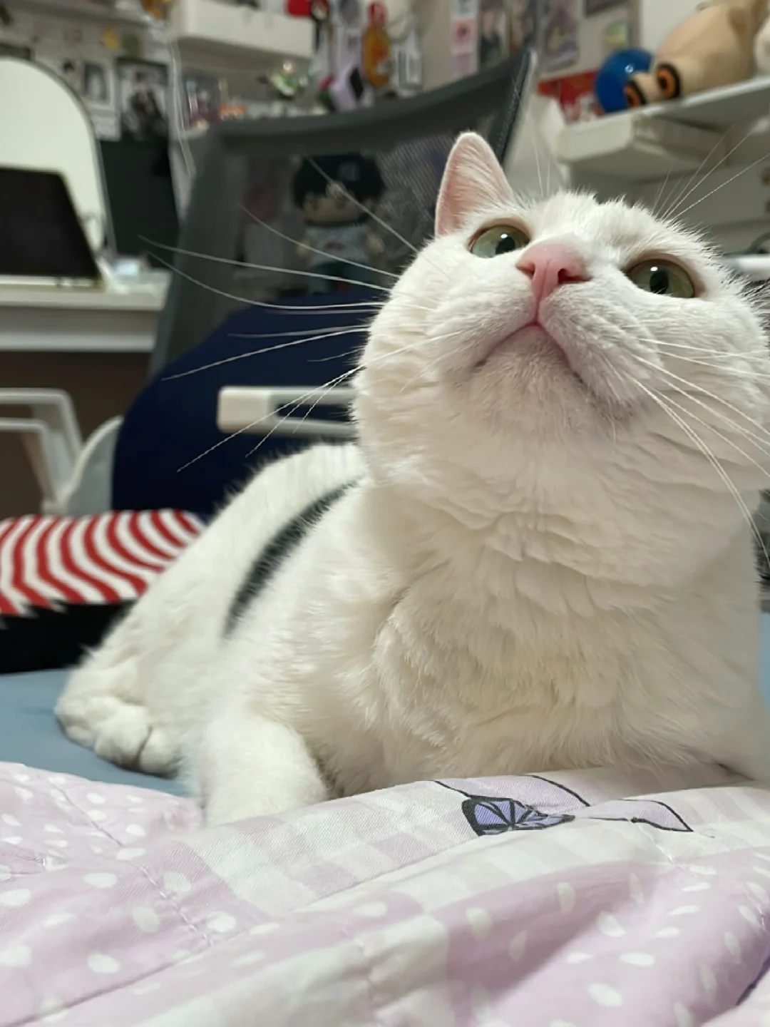 男孩子撅起嘴巴就是要你亲亲的啊