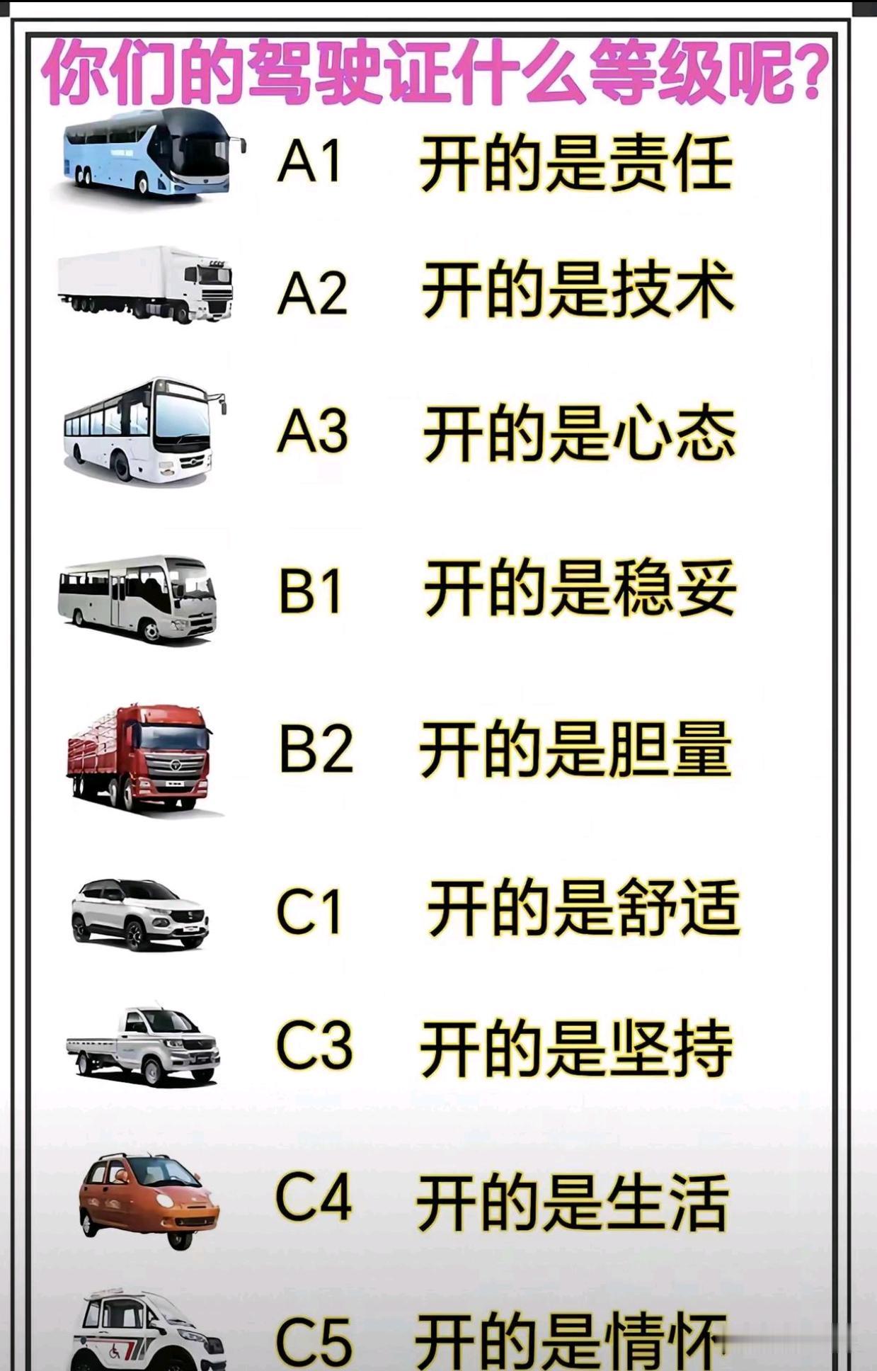 你们的证在哪个阶段？