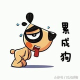 椰宁热品综艺