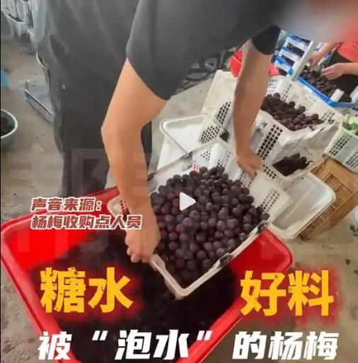 请问妈祖，该怎么惩罚福建漳州的黑心商贩呢？一是黑心商贩给杨梅泡药水不是第一天了！