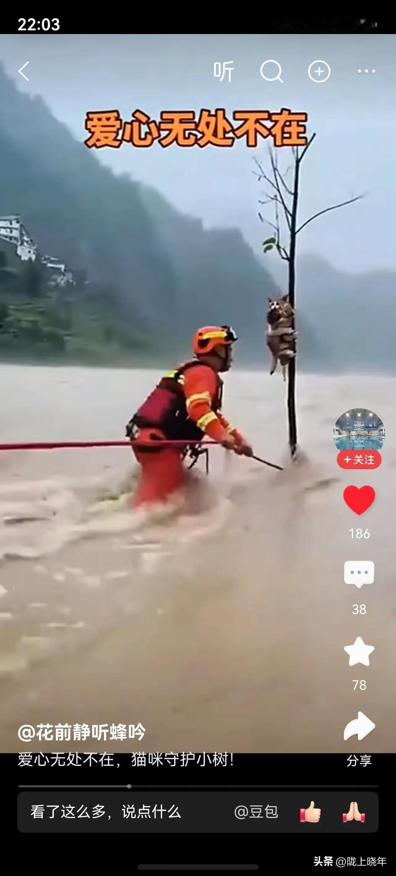 这组镜头下，让我看到不仅仅是我们人类的善良，同时动物也是有母爱的。

动物是有灵
