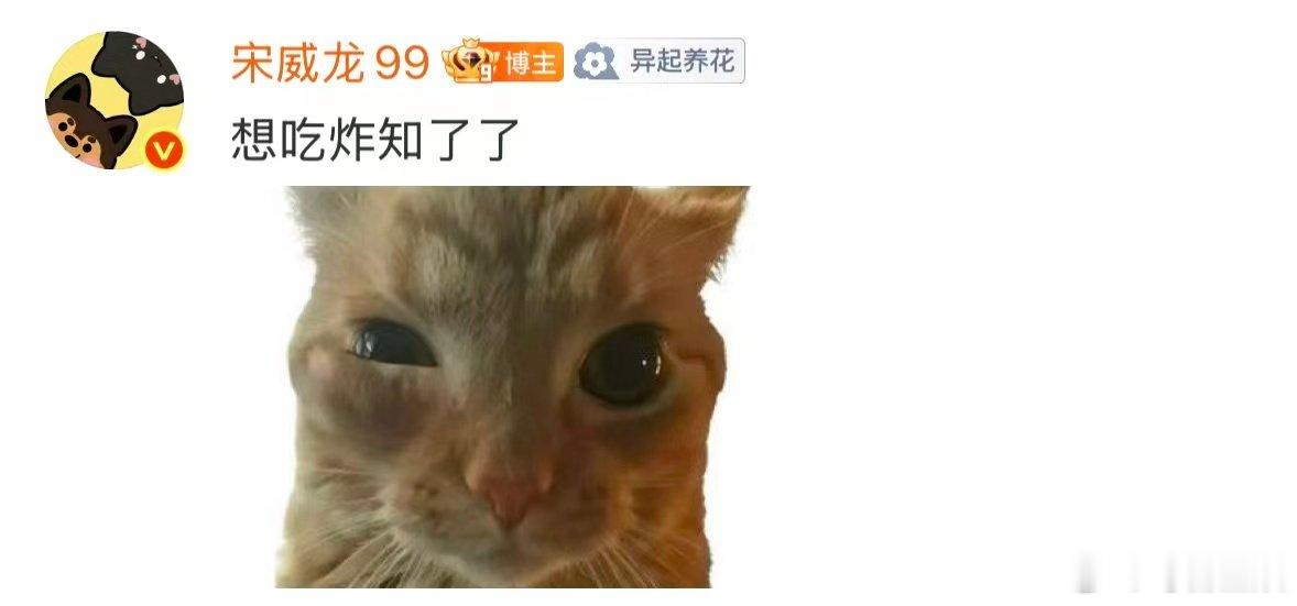 宋威龙知了连续剧宋威龙大战知了宋威龙大战知了 