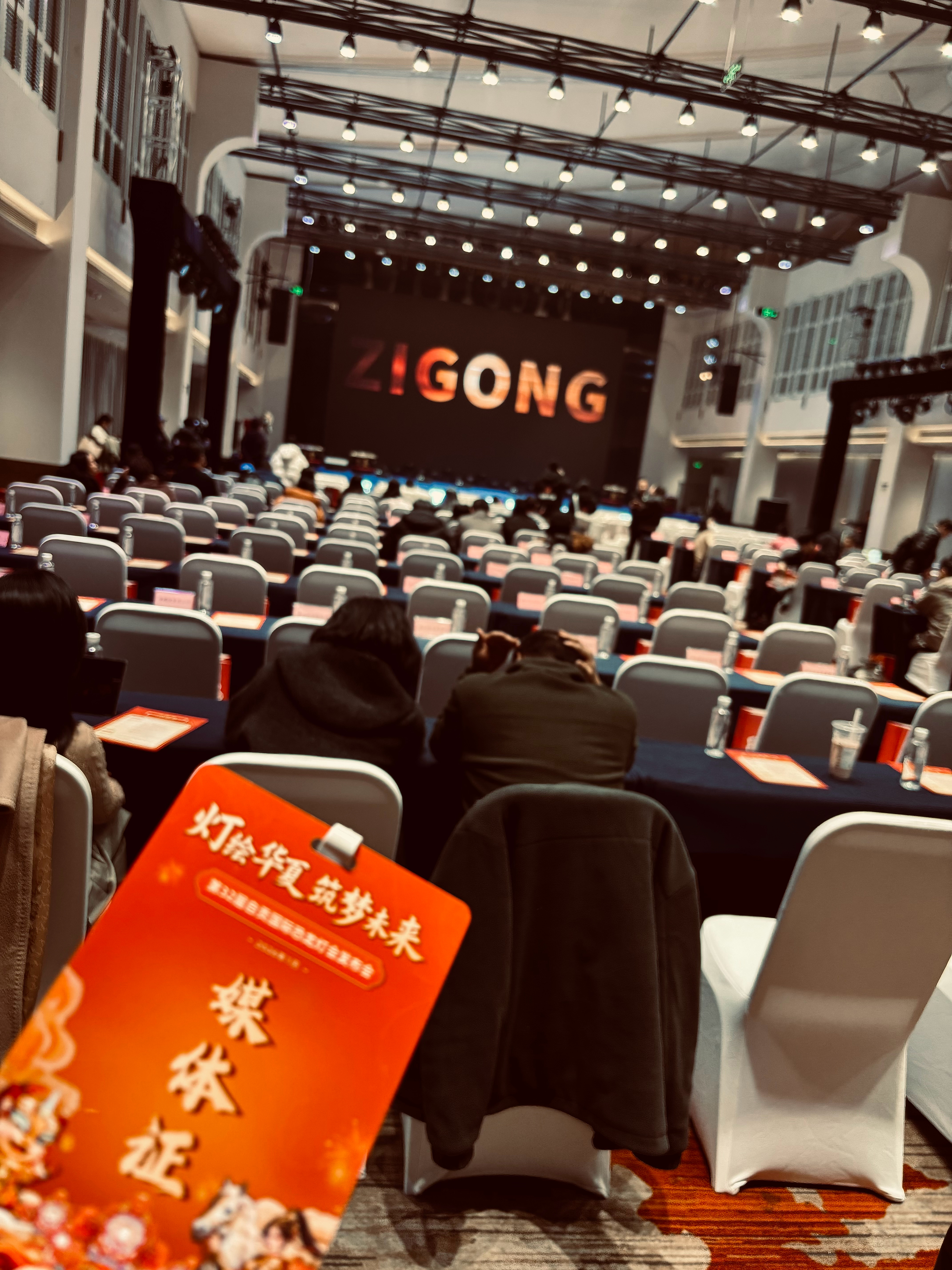 第32届自贡国际恐龙灯会即将盛大启幕今年的灯会，应该会给大家更多的惊喜晚上我就去