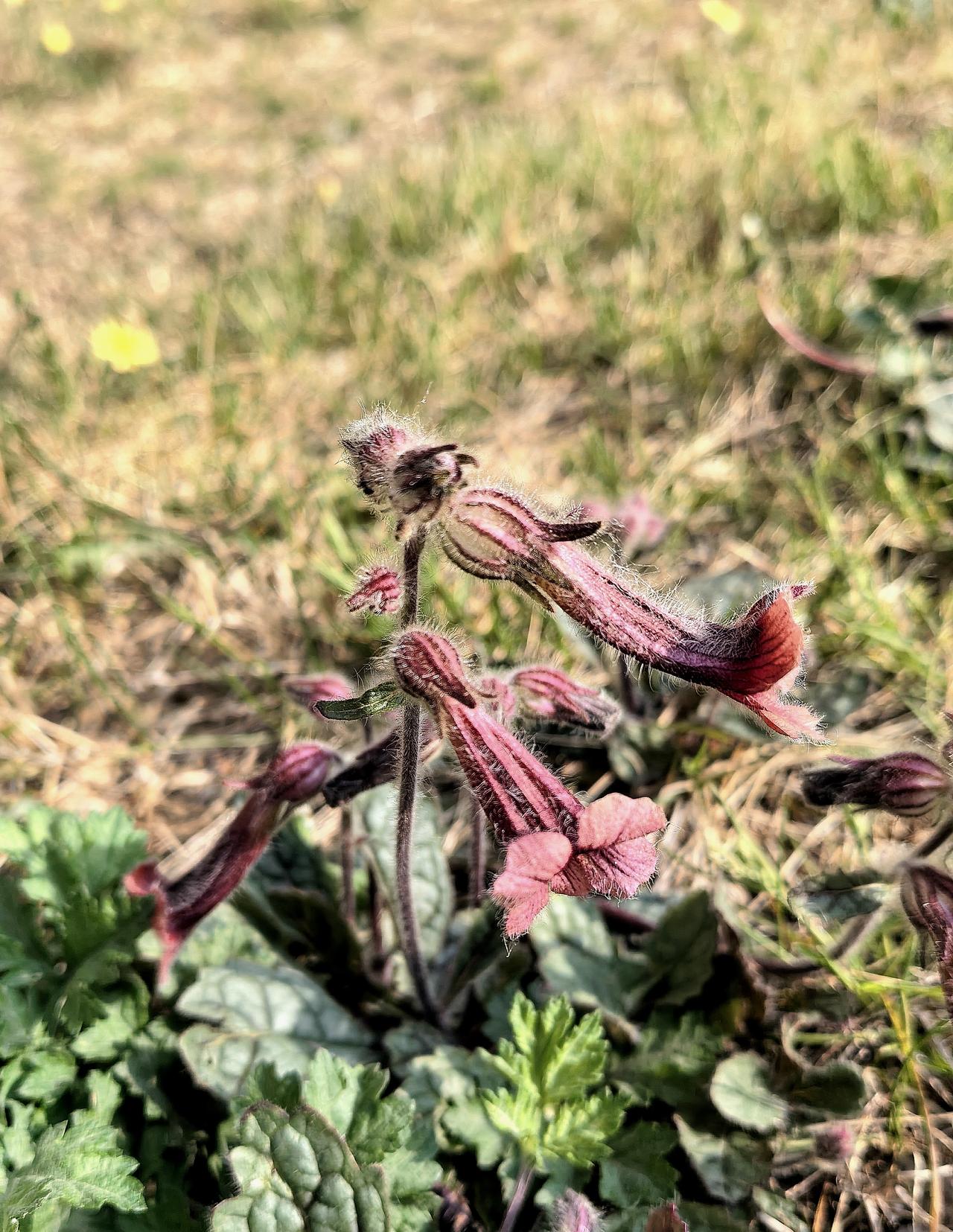 昨天上午，邻居家传出剧烈的争吵声。
邻居李本军是县档案局长退休的干部，退休后回家