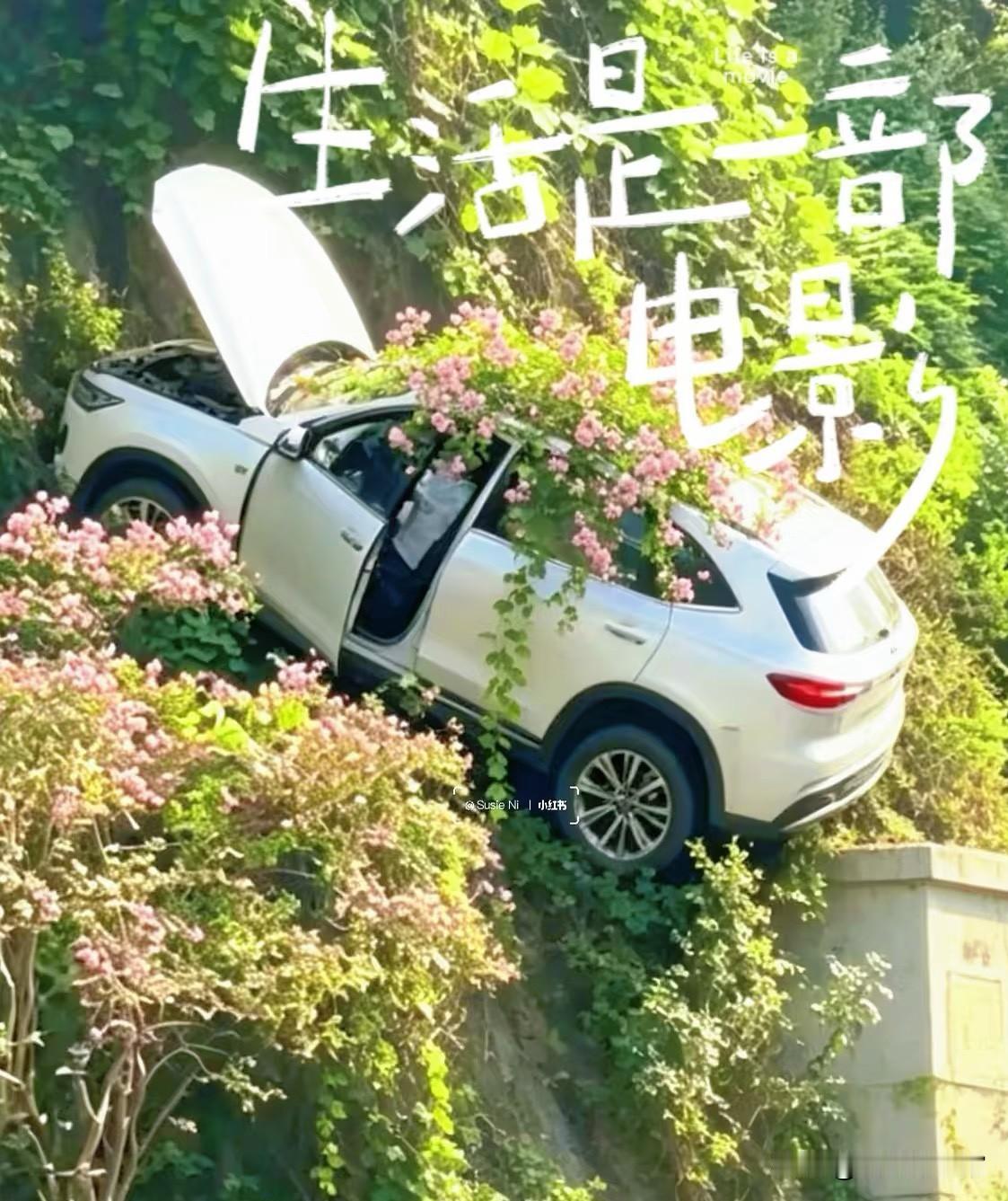 主要是他飞出了重庆人的浪漫和随性的基因，我觉得重庆文旅其实可以想出一个更大胆的方