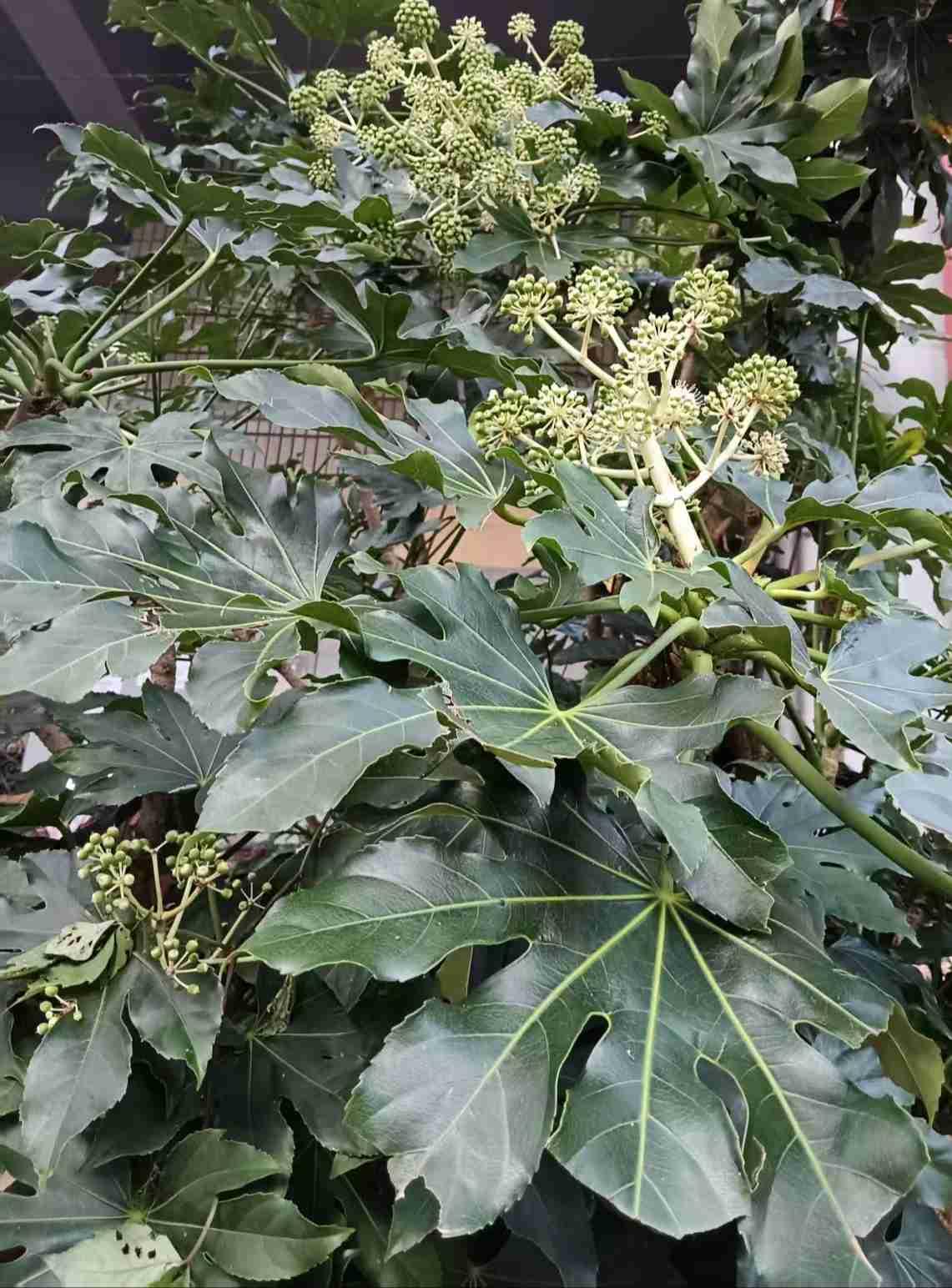 傍晚有雾，在昆明很少见到这种有雾天气，今天真冷啊。
带定位晒今日生活
我的今日状