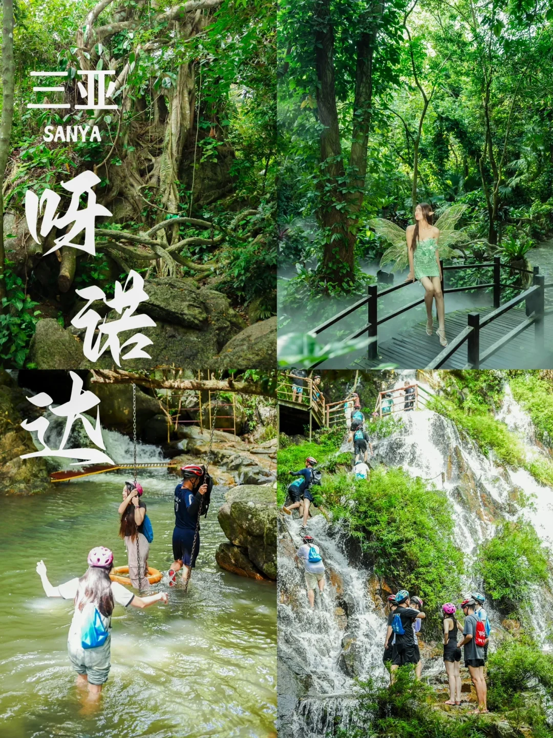 三亚旅游｜变身探险家🌴穿越呀诺达热带雨林