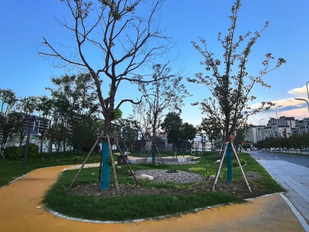 扬州又添了个公园！
渡江南路与江阳东路交叉口新添生态街角公园。依托590地块配套