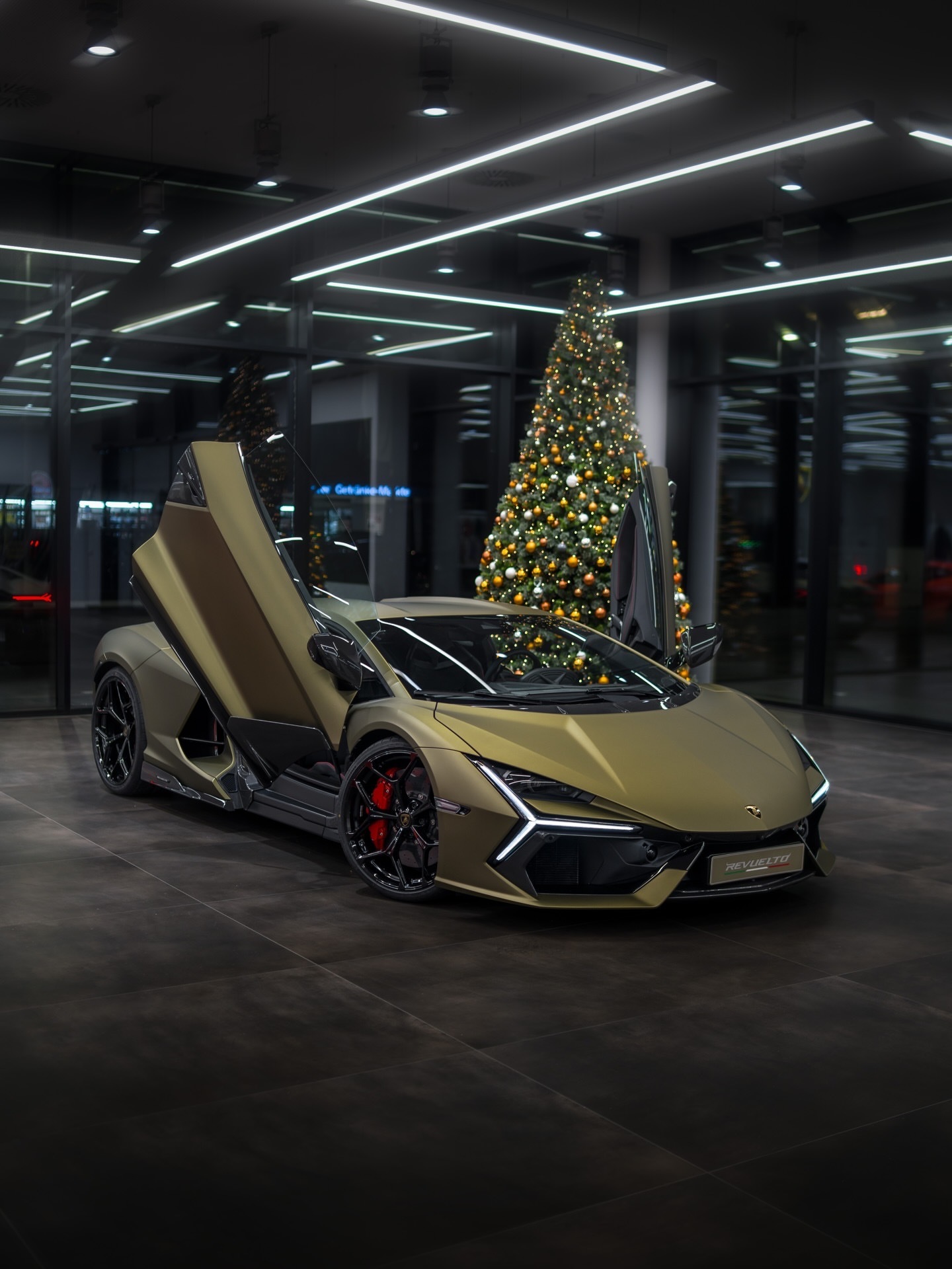 一个差点放不进圣诞树下的圣诞礼物 🎄Revuelto in Verde Gea