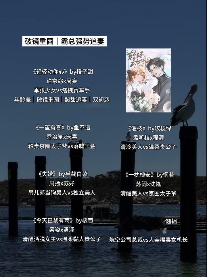 爹系霸总强势追妻《轻轻动你心》by橙子甜，破镜重圆火葬场，年龄差五岁。...