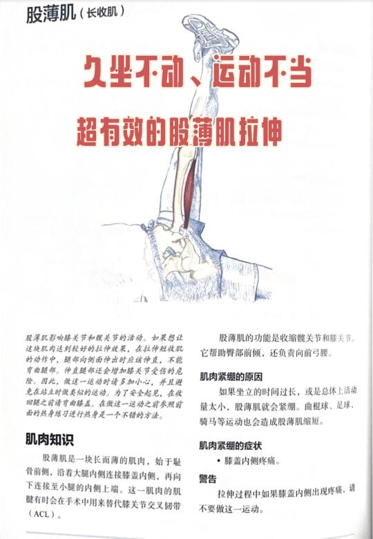 告别膝盖内侧痛❗ 股薄肌拉伸秘籍