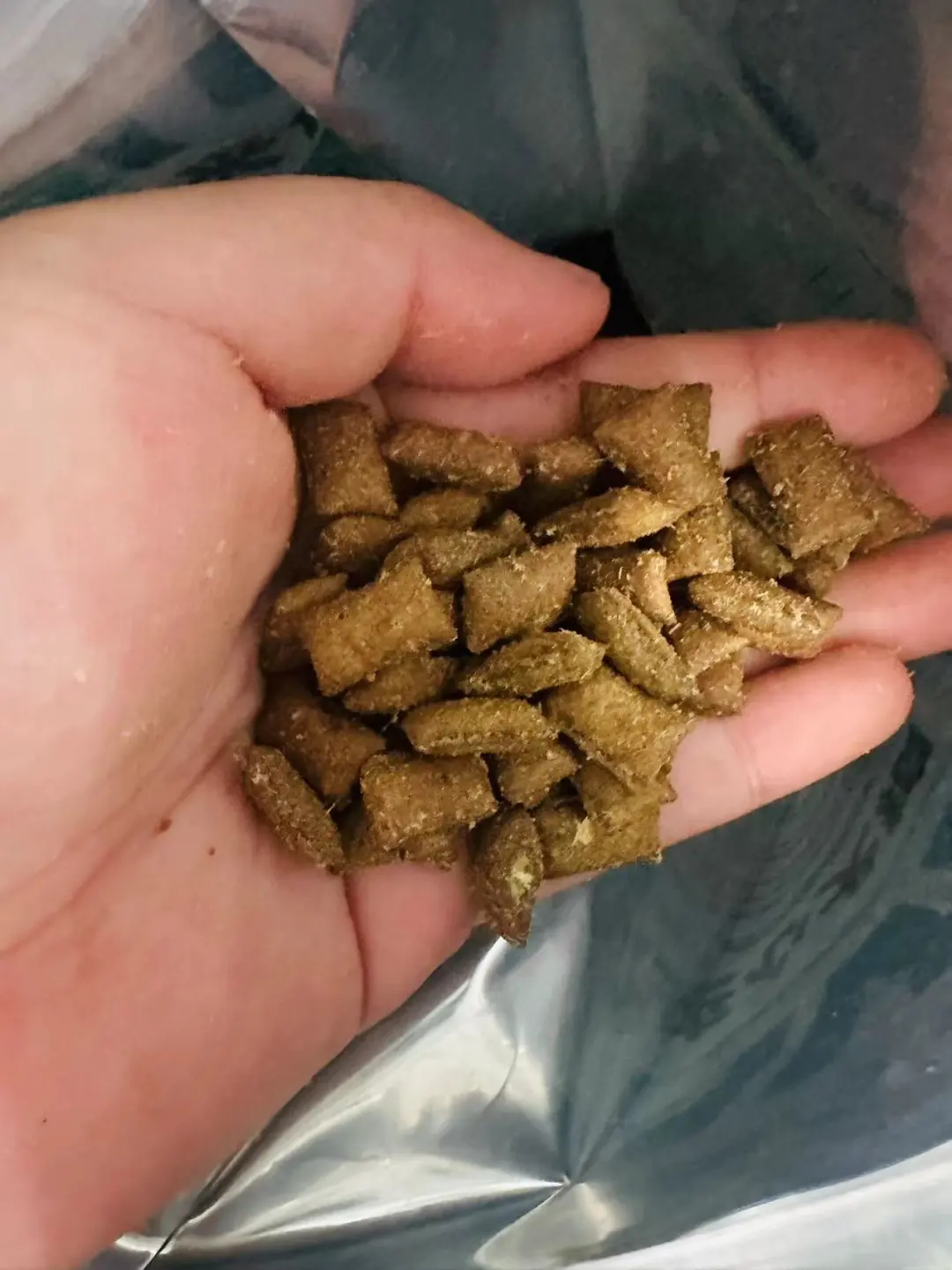 高性价比养狗必入的狗粮！！长肉是真有一手！
