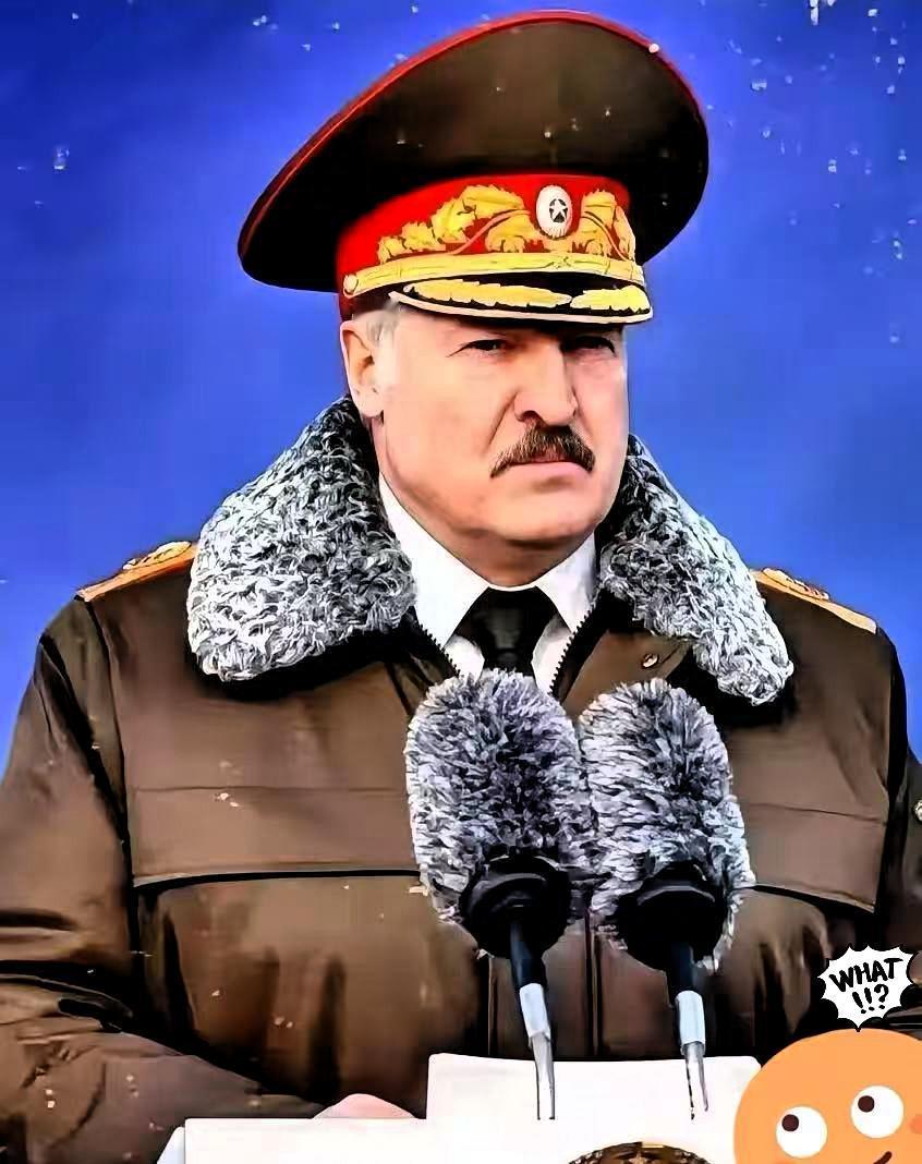 快讯！
白俄罗斯突然宣布了
​1月13日消息，白俄罗斯国防部长赫列宁接受媒体采访