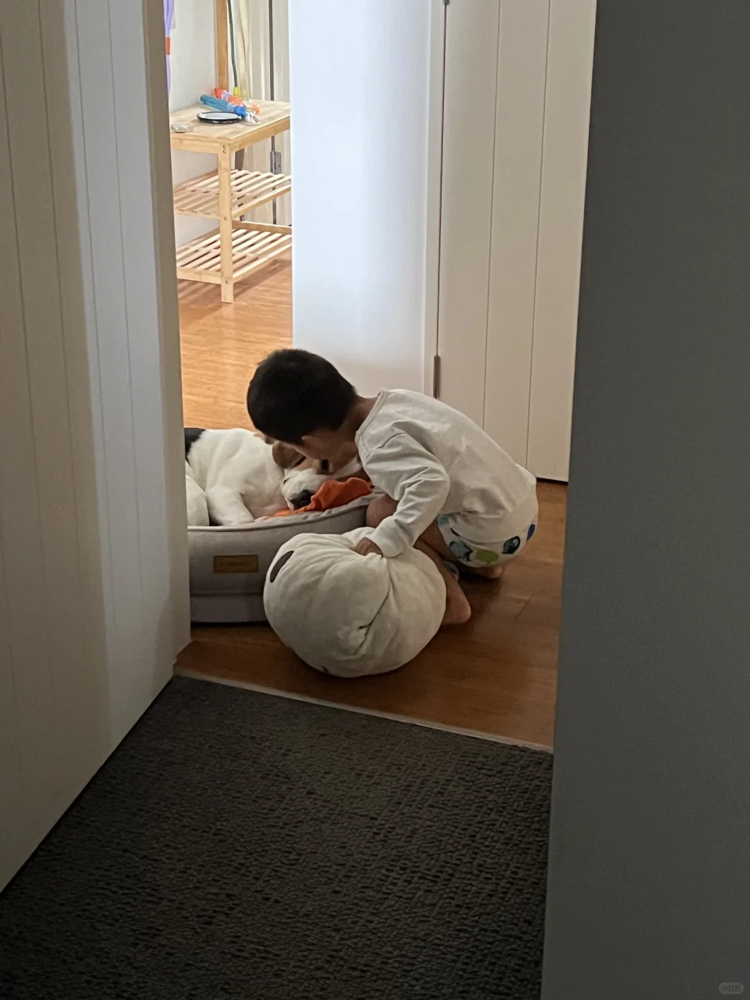 看到请原谅世界3秒钟