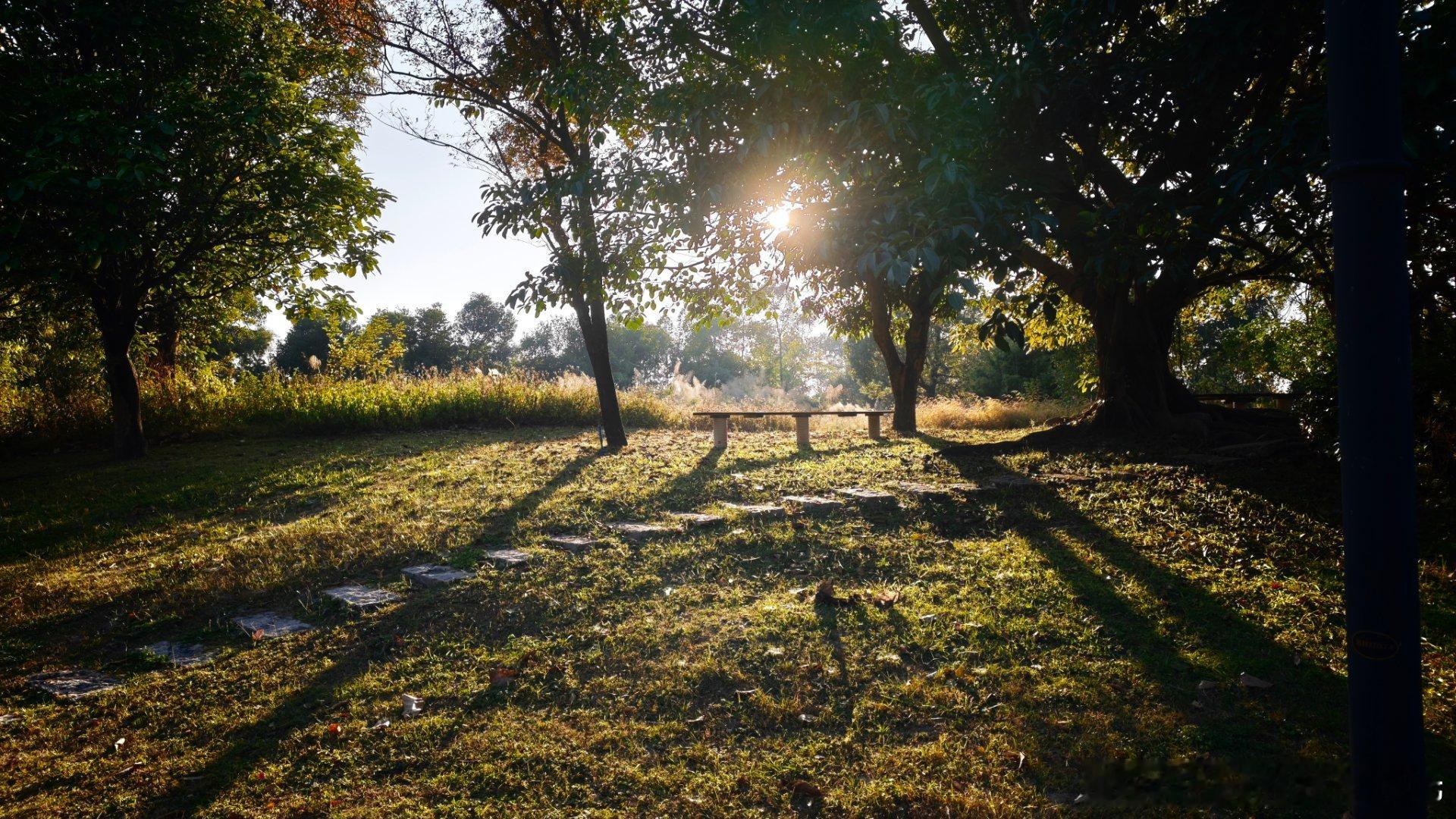这地方太美了，温度太舒服了，真想就这么静静的在这呆上一整天。 