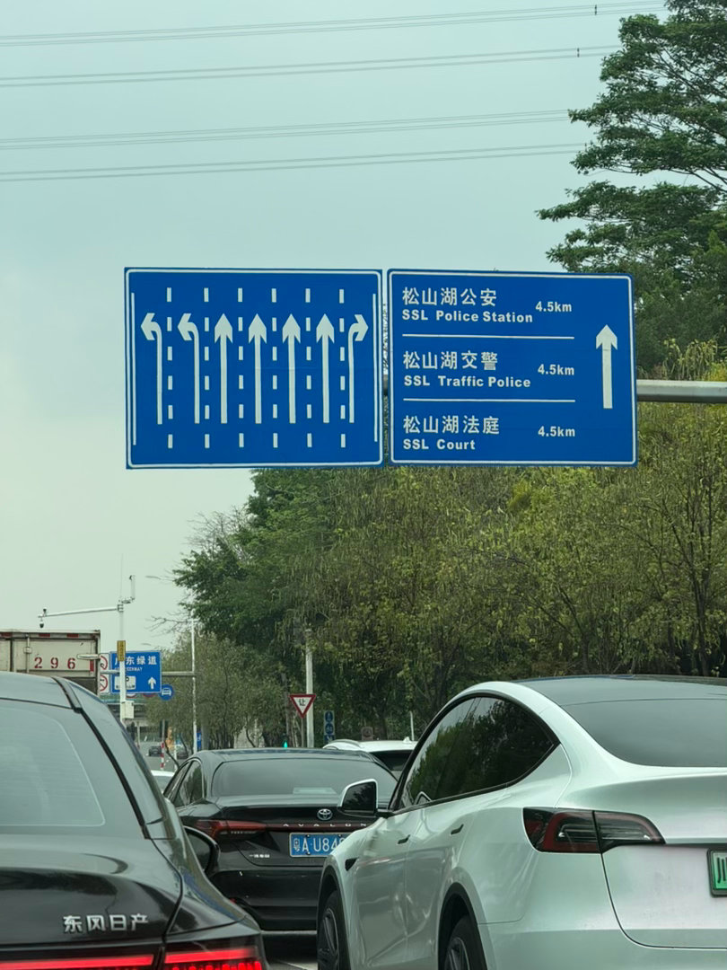 战战兢兢，如履薄冰，惊弓之鸟，杯弓蛇影，斧声烛影，风声鹤唳…… 