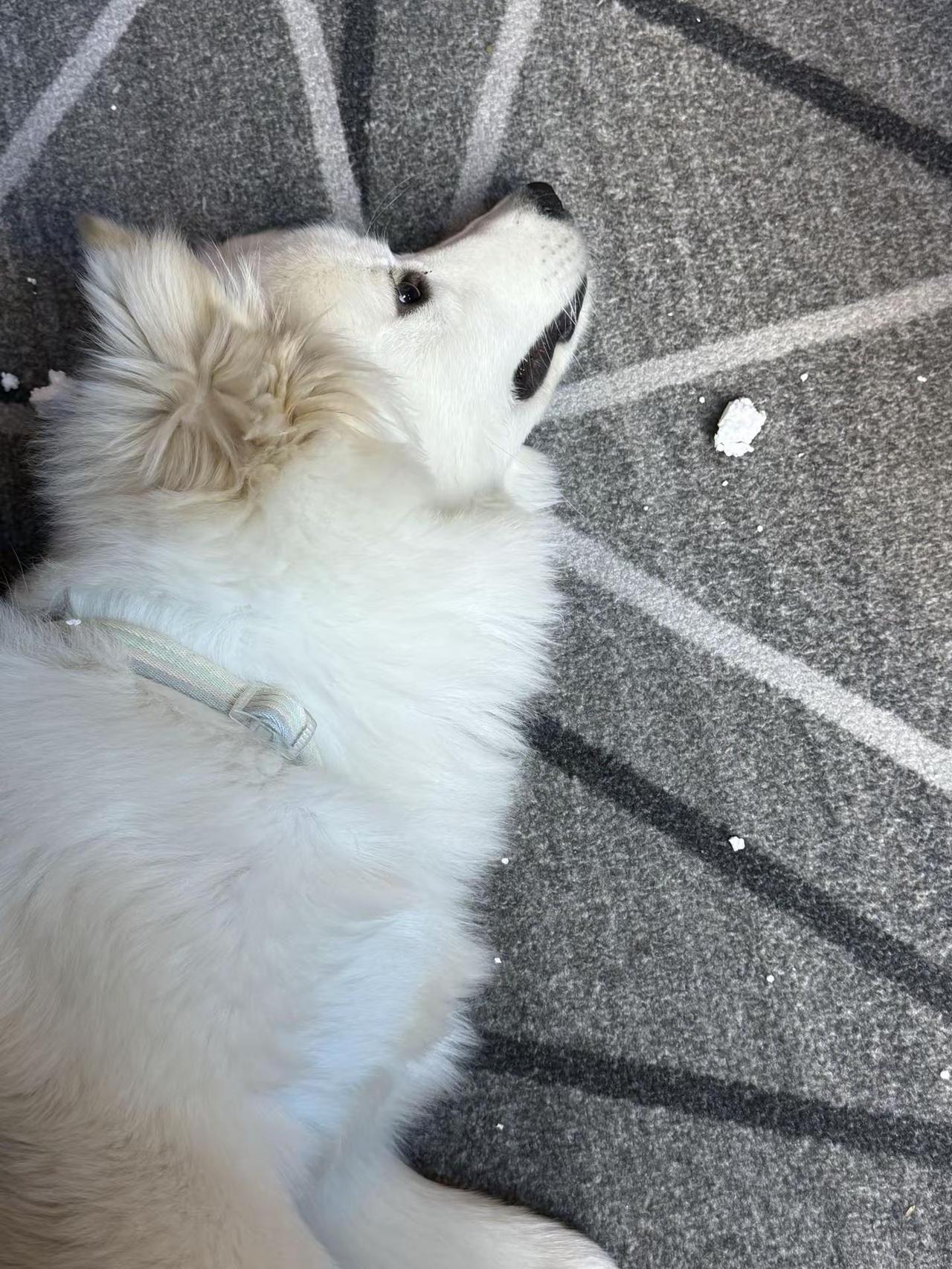 如果我主动给你点赞了 可不可以麻烦你也主动点给我发个消息 因为我想认识你！