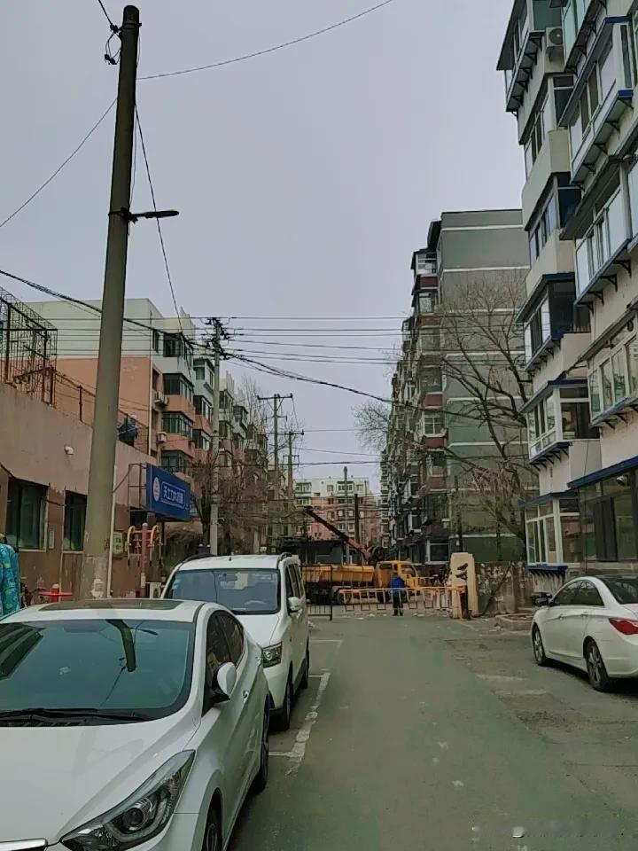 春日生活打卡季