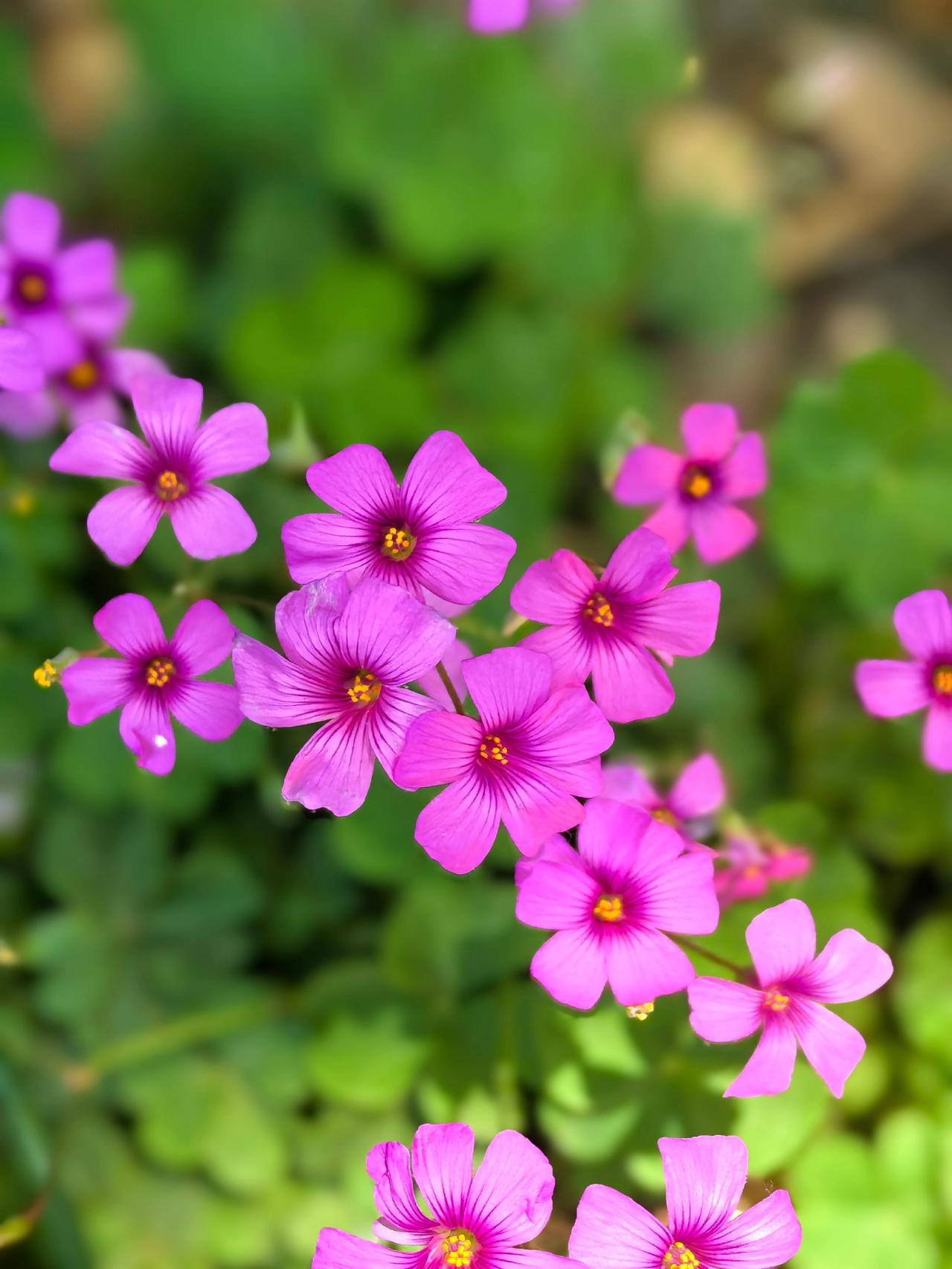 生活不会辜负每一个努力的人 每天学习一点点 因为热爱所以坚持