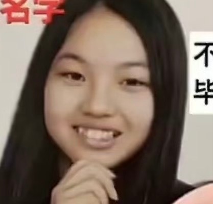 这个不算只是素人有点像而已 