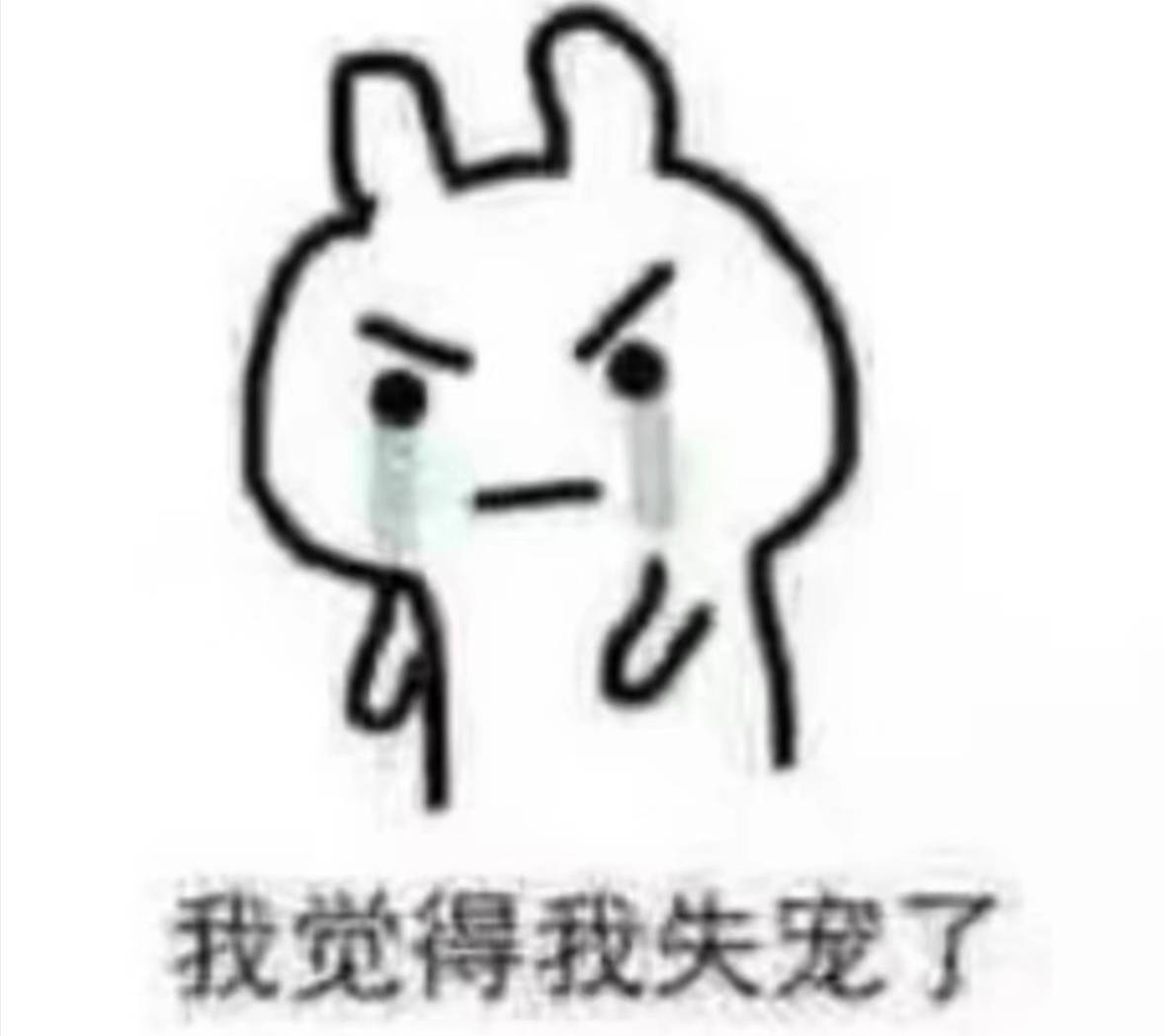 分享图片 